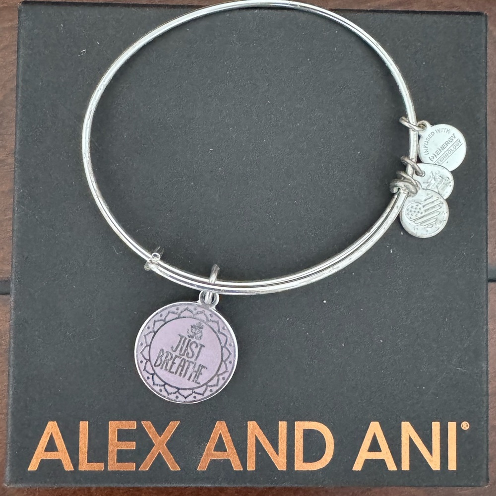 Alex and Ani Silver Bangle Bracelet
